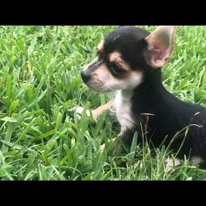 Meet your Posher, Celina